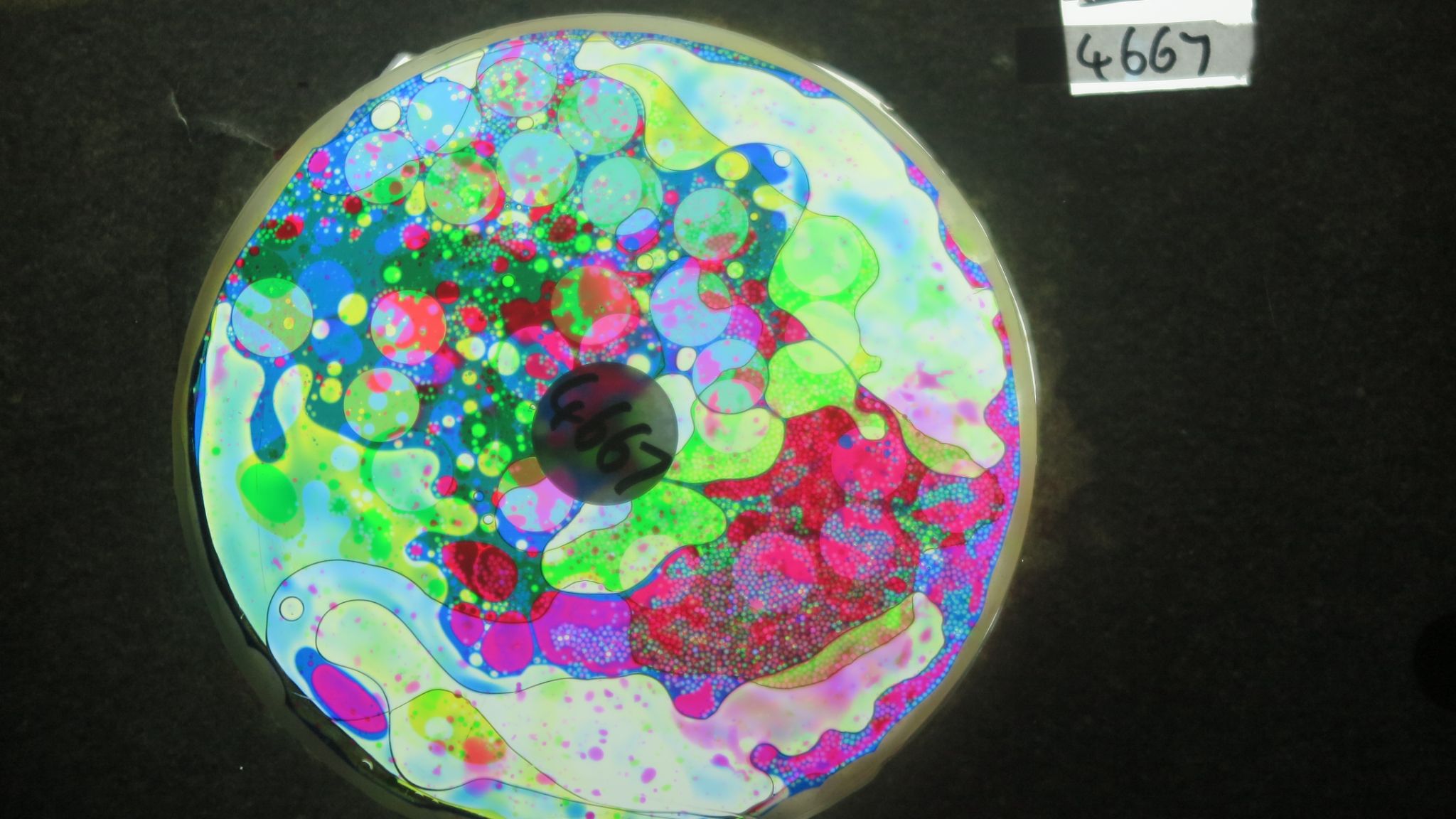 BV4667 bubble vision oil wheel